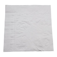 Dinner Napkin Premium White 2 Ply (100)