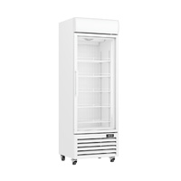 Thermaster Upright Single Glass Door Freezer LG-400PF