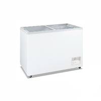 Heavy Duty Chest Freezer with Glass Sliding Lids - WD-620F