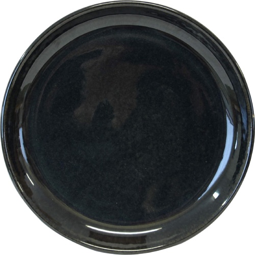 Artistica Round Plate-270mm Rolled Edge Midnight Blue